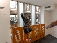 18 izlozba umjetnicke skole